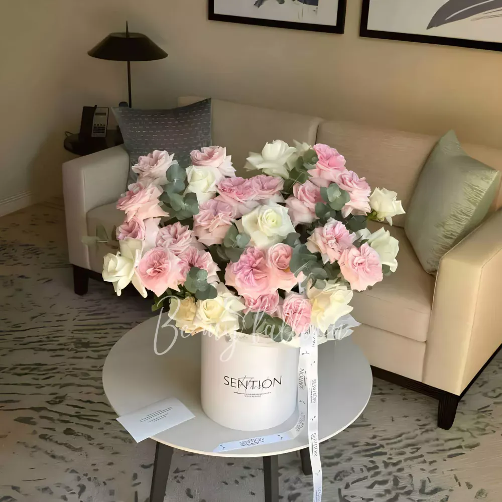 Warmth of the heart x Sention