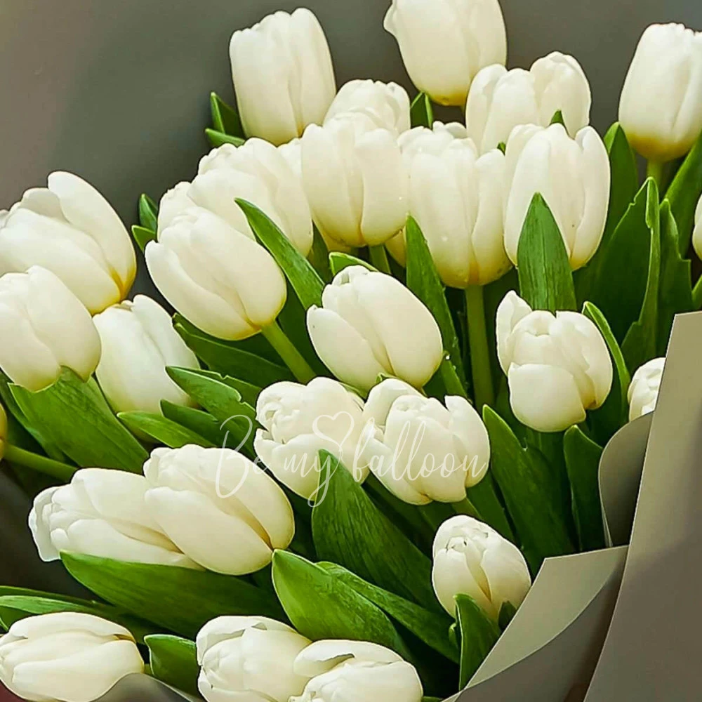 Tulip Perfection