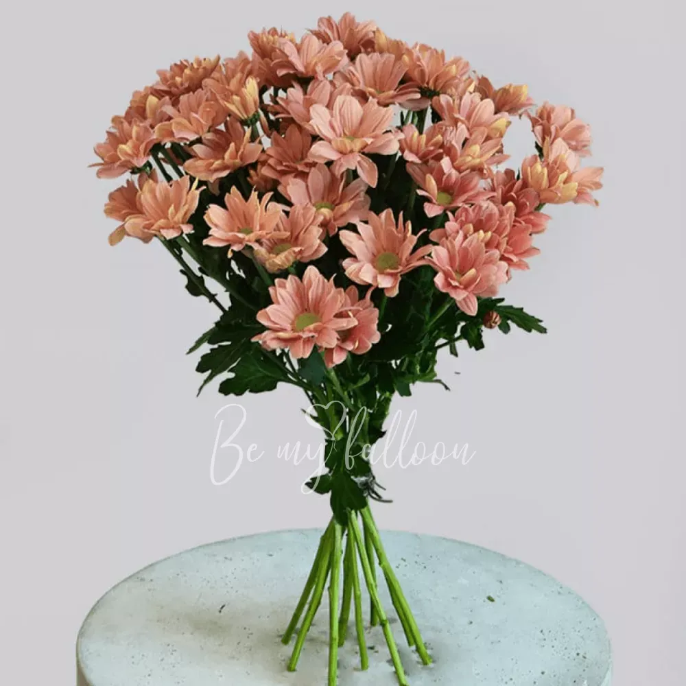 زهور الباستيل بلوم